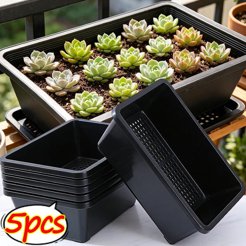 Food Storage Plants - Succulent Plants Seedling Tray Reusable Flower