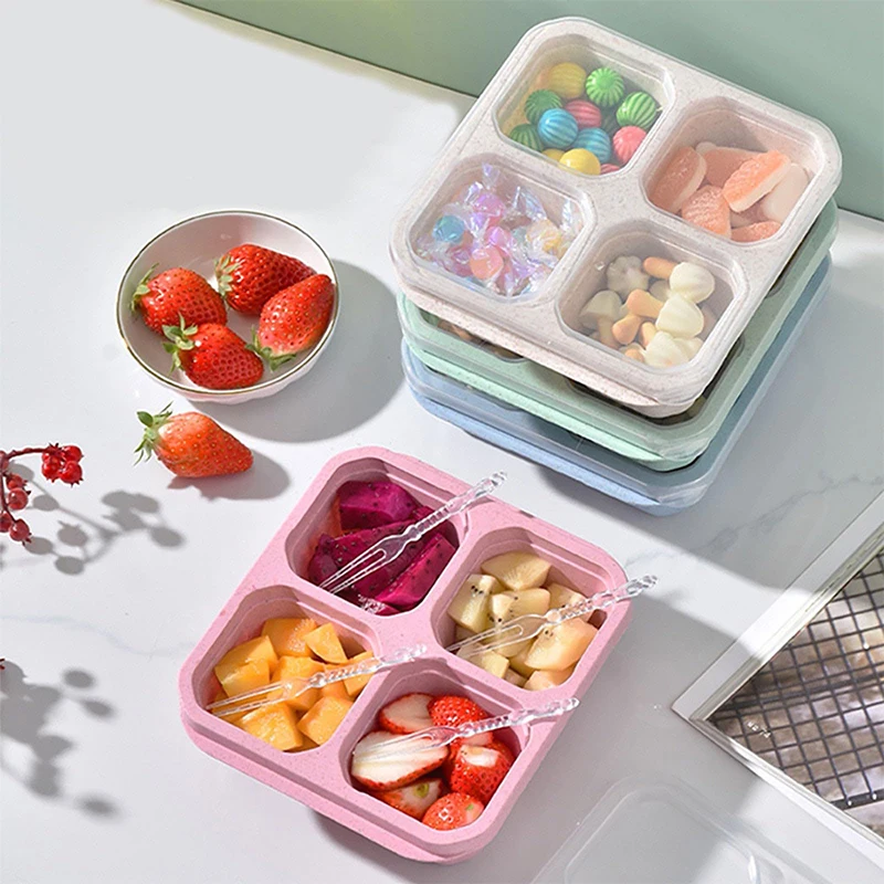 Food Storage Box Set - 4 Grids Food Storage Box Portable