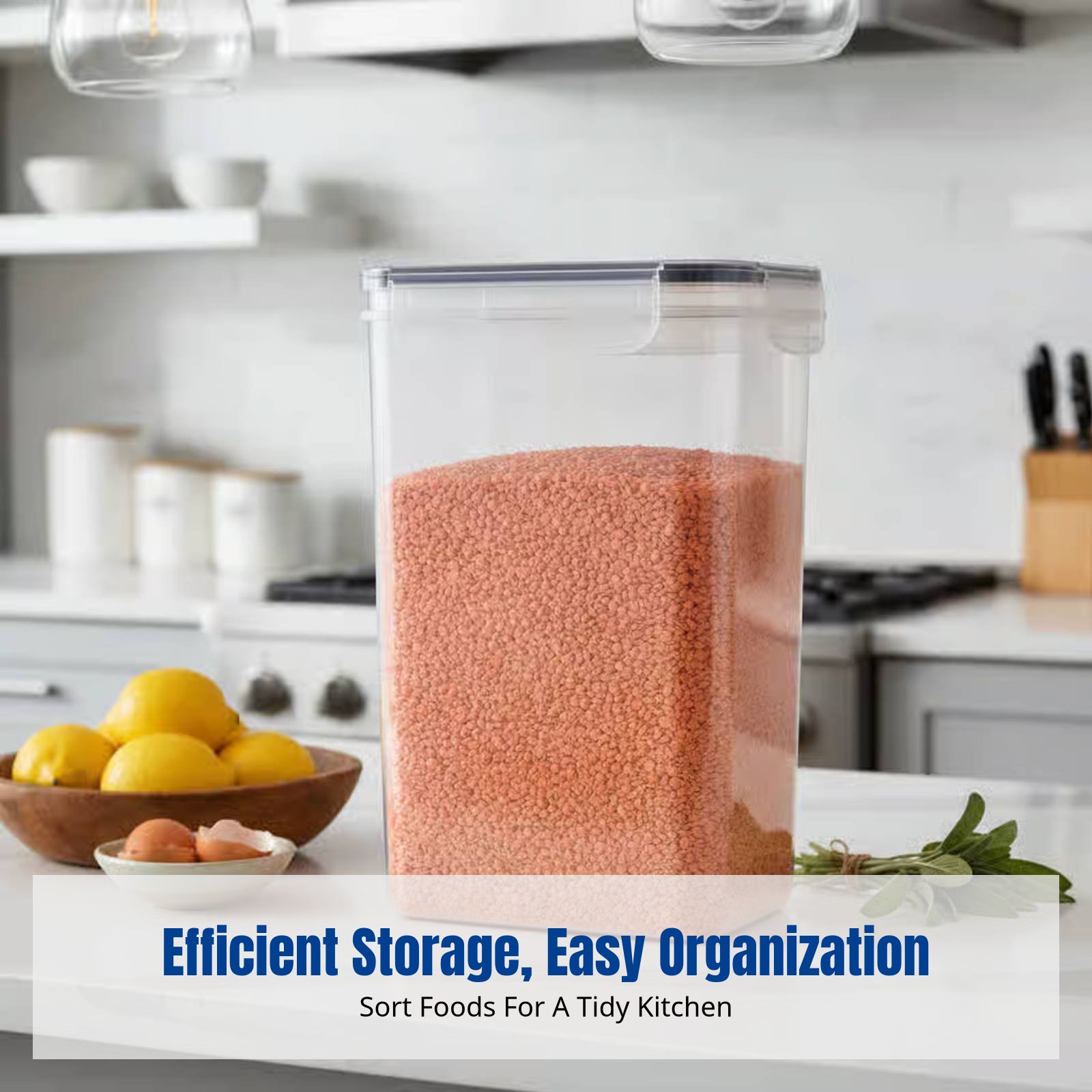 Airtight Food Storage Containe – Food Storage Refrigerator Bewertung und Preis