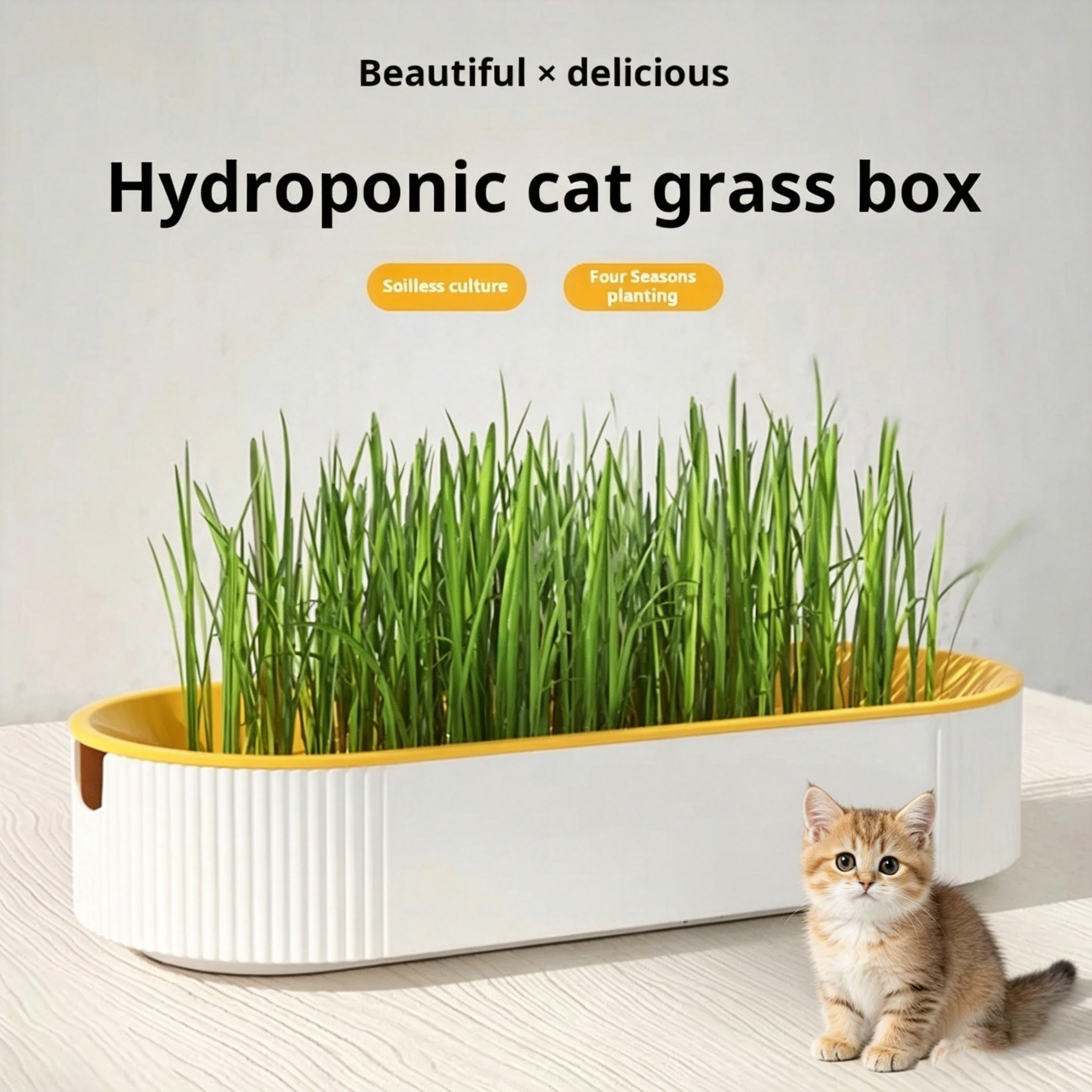 Easy Growth Hydroponic Cat Gra – Food Storage Plants Bewertung und Preis