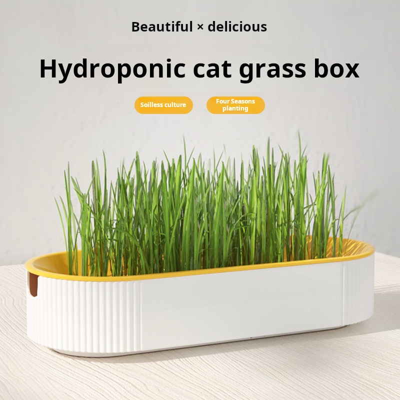 Easy Growth Hydroponic Cat Gra – Food Storage Plants Bewertung und Preis
