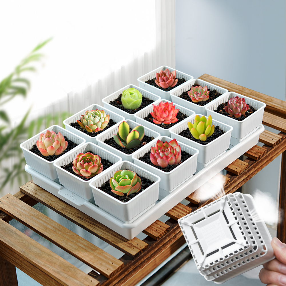Meshpot Succulent Pot Plastic  – Food Storage Plants Bewertung und Preis