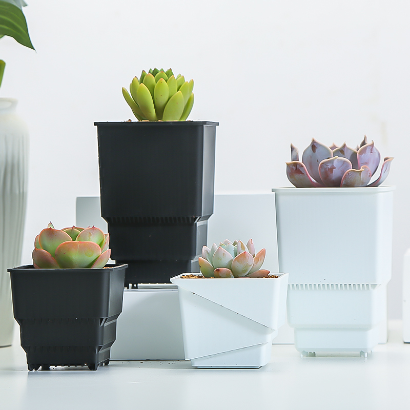 Meshpot Succulent Pot Plastic  – Food Storage Plants Bewertung und Preis