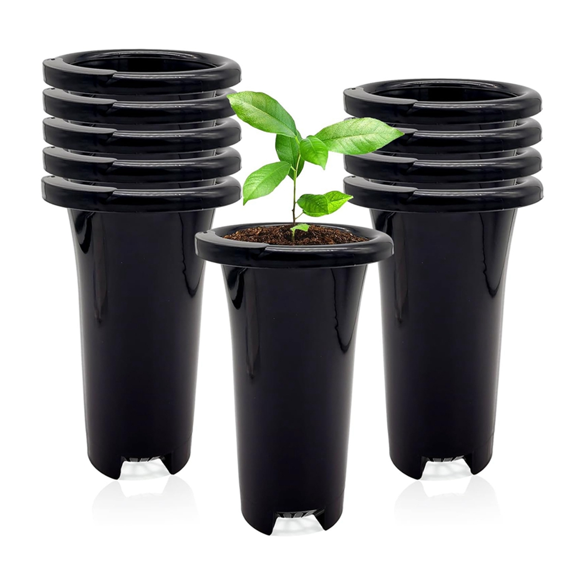 10Pcs Plastic Deep Plant Nurse – Food Storage Plants Bewertung und Preis