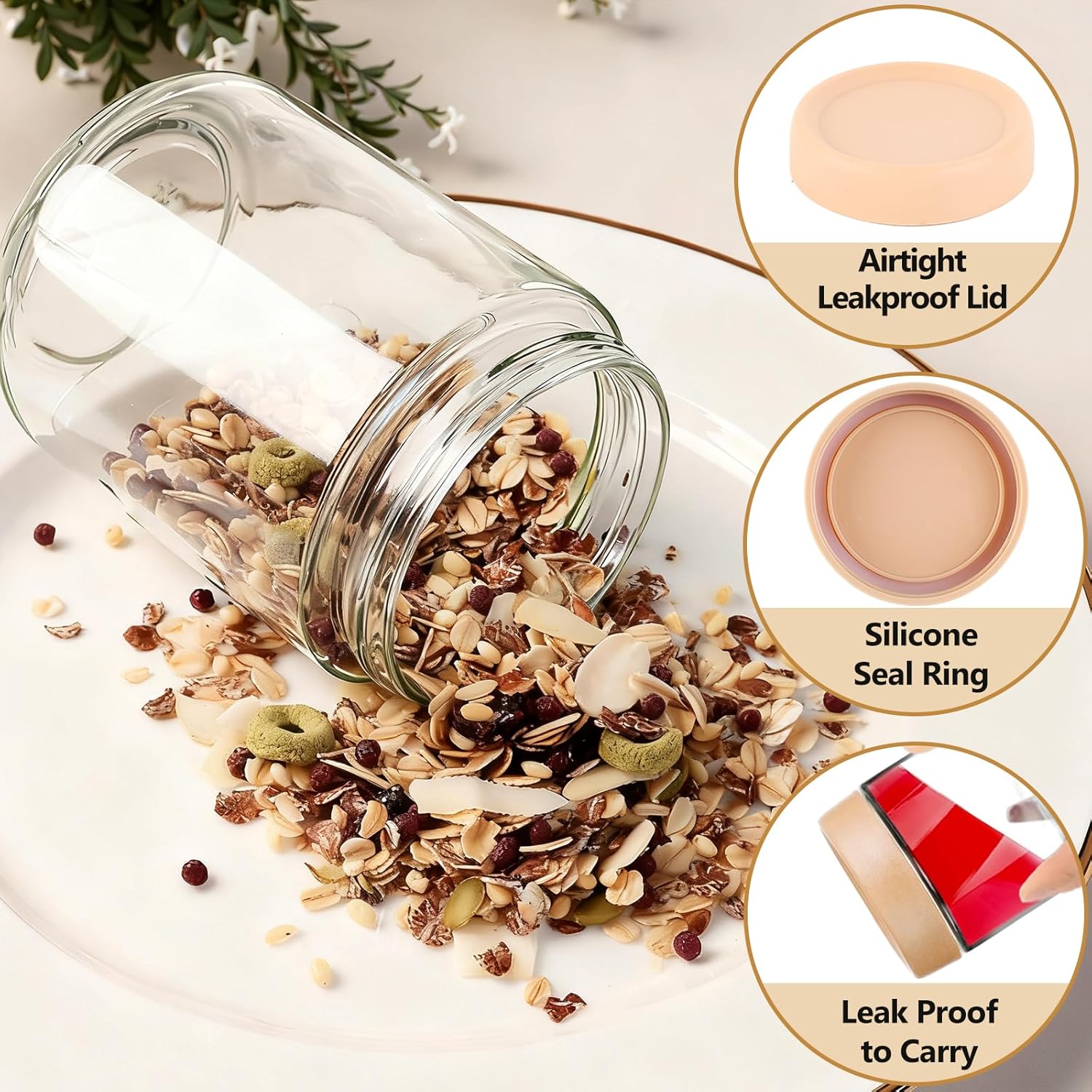 12 Pack Overnight Oats Contain – Food Storage Glass Jar Bewertung und Preis
