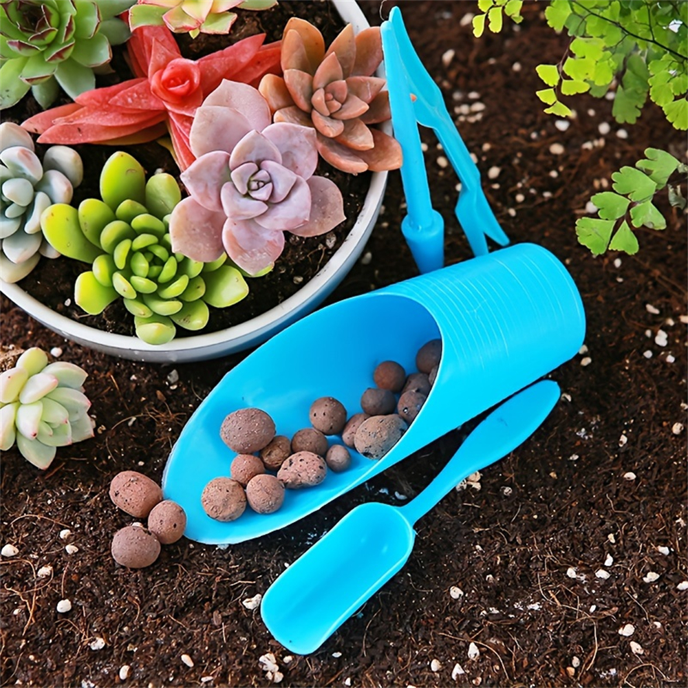 4-Piece Set of Succulent Garde – Food Storage Plants Bewertung und Preis