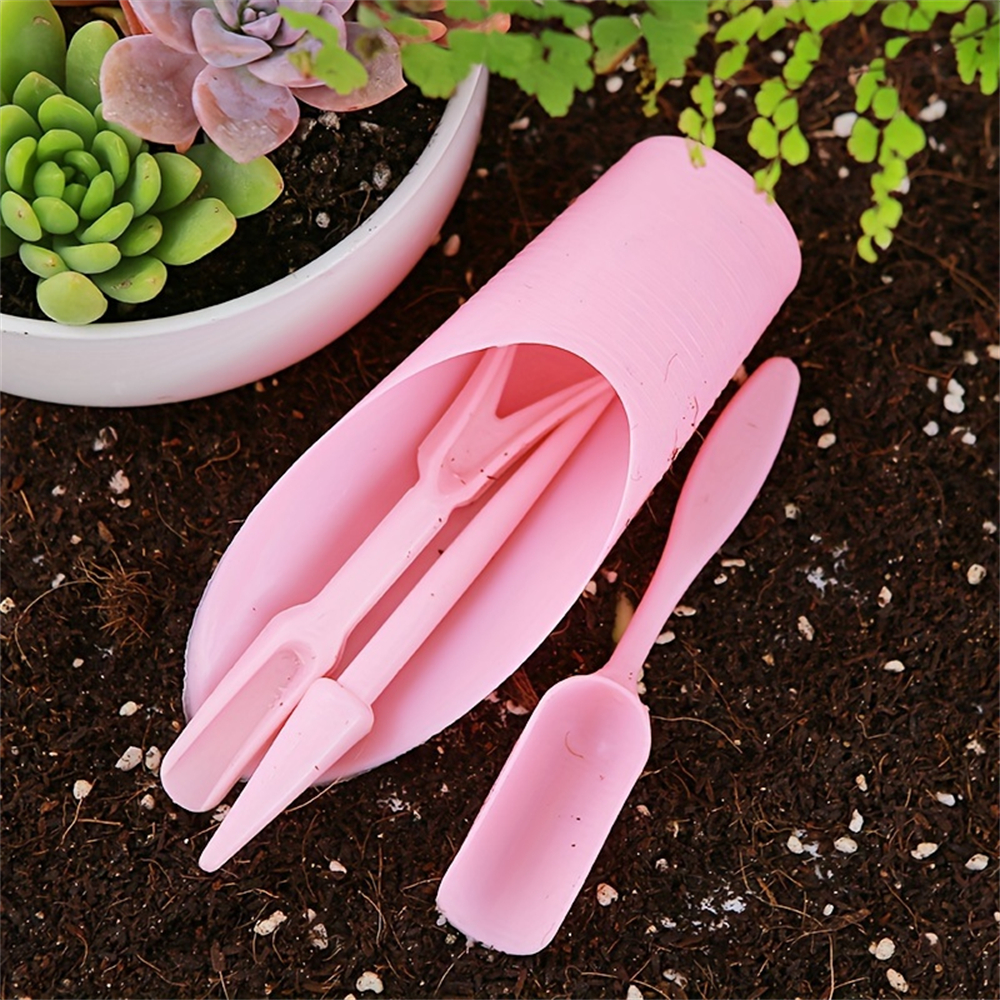 4-Piece Set of Succulent Garde – Food Storage Plants Bewertung und Preis