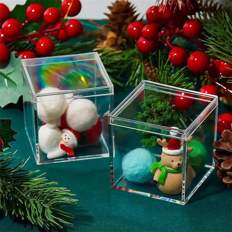 12 PCS Transparent Acrylic Box – Food Storage No Plastic Bewertung und Preis