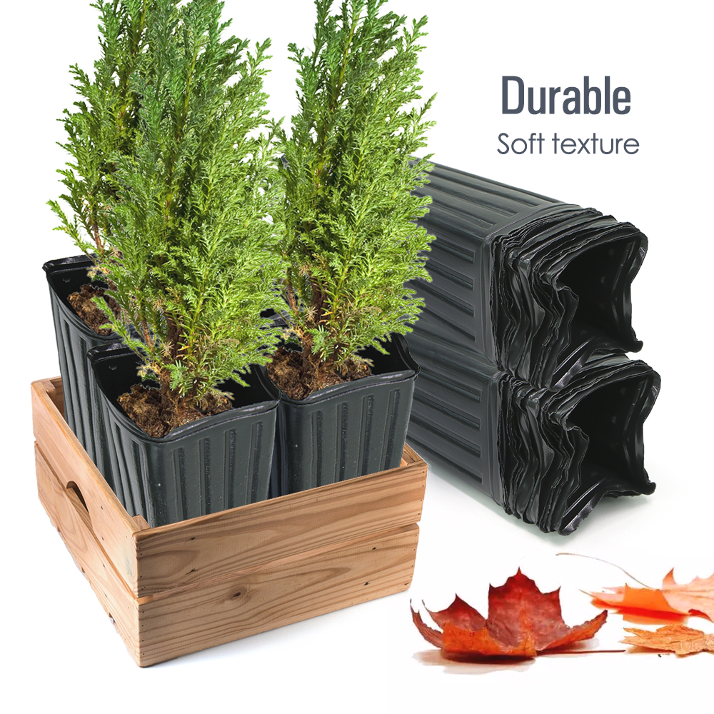 Square Tree Pot with Drainage  – Food Storage Plants Bewertung und Preis