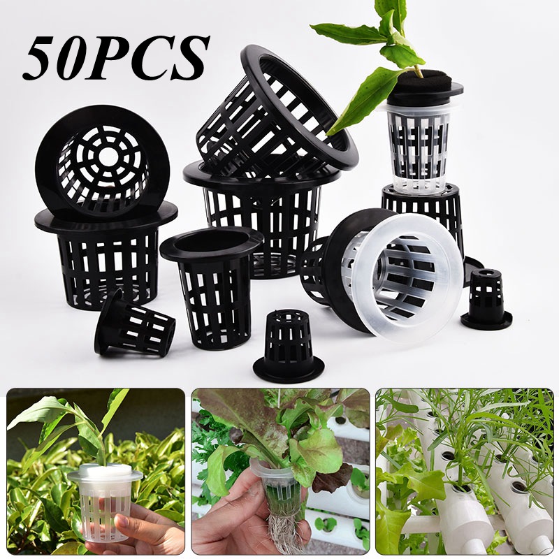 50Pcs Black White Soilless Mes – Food Storage Plants Bewertung und Preis