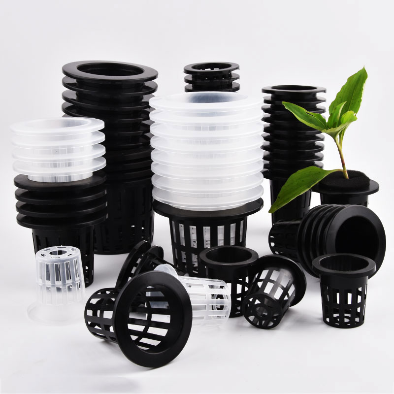 50Pcs Black White Soilless Mes – Food Storage Plants Bewertung und Preis