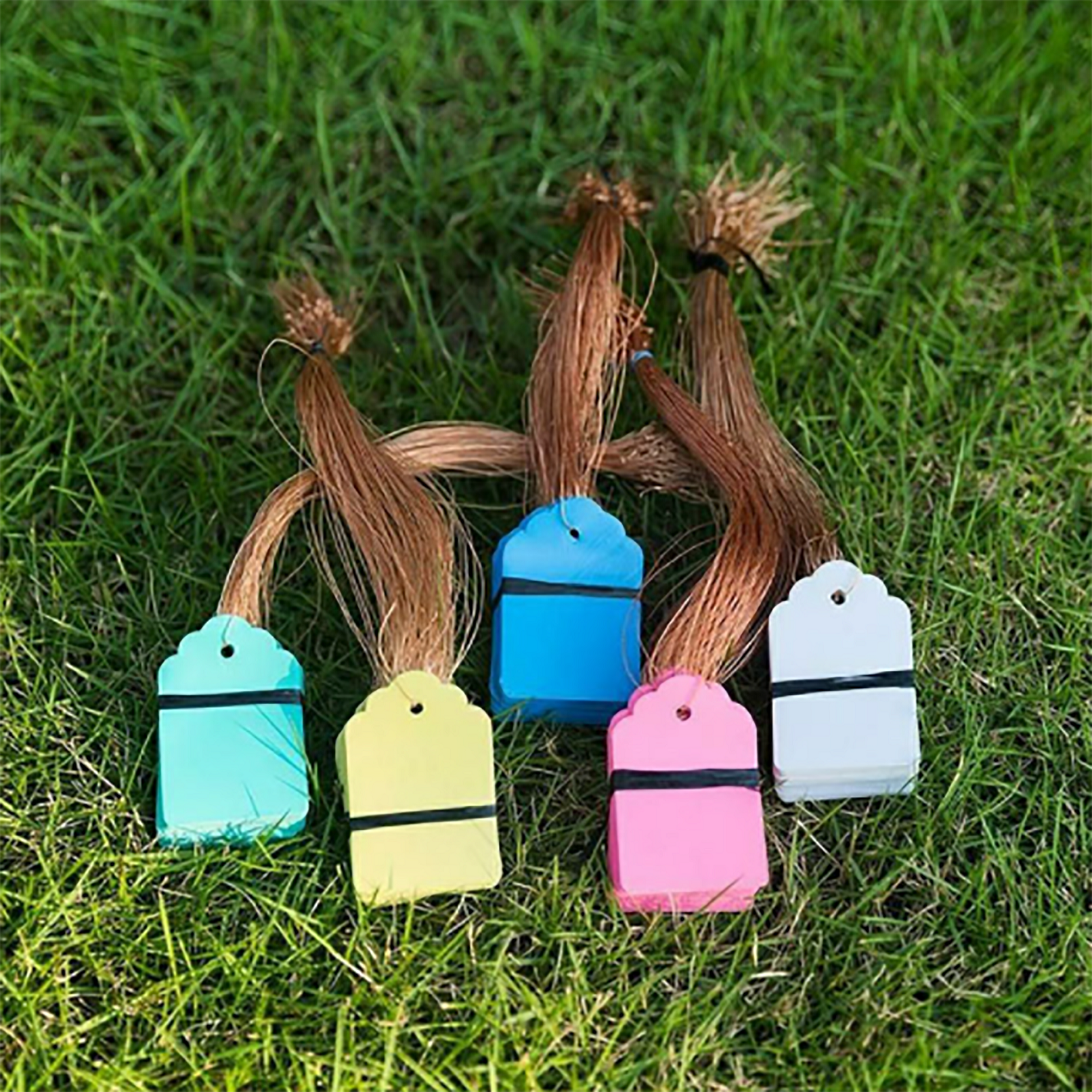 100Pcs/Lot Plants Hanging Plan – Food Storage Plants Bewertung und Preis