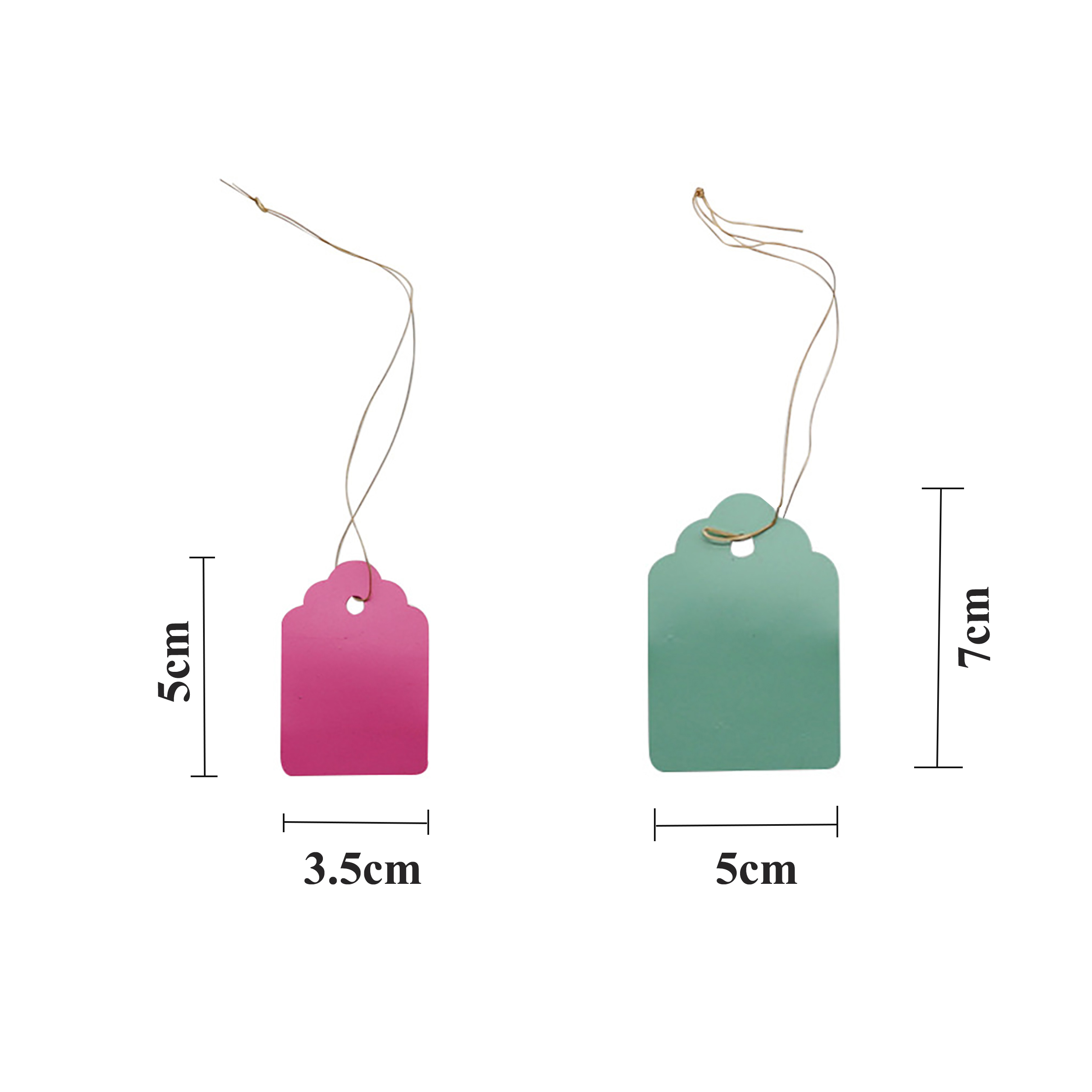 100Pcs/Lot Plants Hanging Plan – Food Storage Plants Bewertung und Preis
