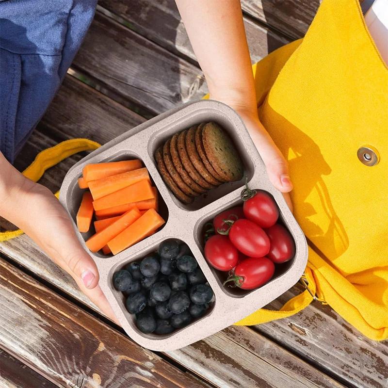 4 Grids Food Storage Box Porta – Food Storage Box Set Bewertung und Preis