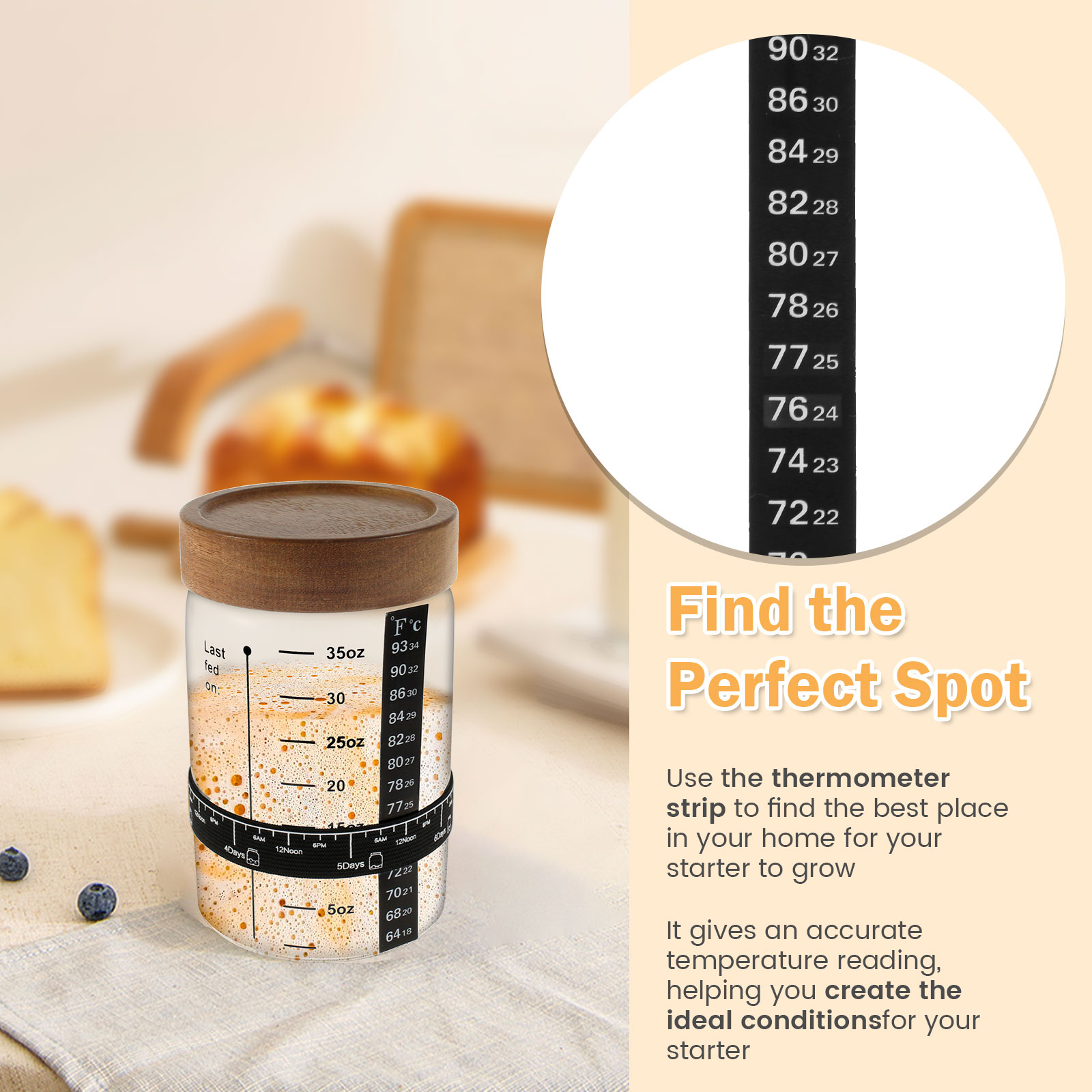 Sourdough Starter Jar Kit 1000 – Food Storage Tank Bewertung und Preis