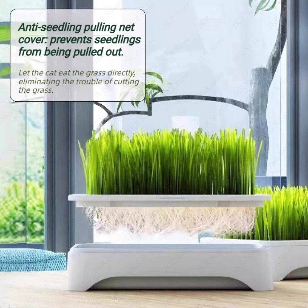 Indoor Pet Cat Grass Planter P – Food Storage Plants Bewertung und Preis