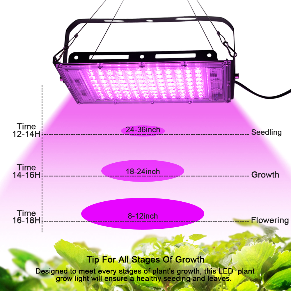 Full Spectrum LED Grow Light P – Food Storage Plants Bewertung und Preis