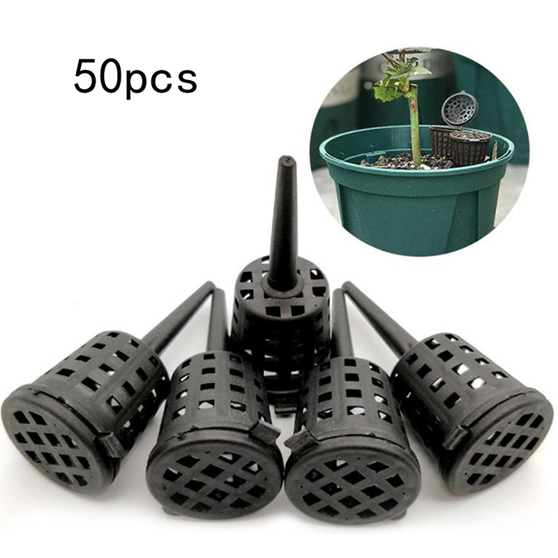 50 Pcs/pack Plants Fertilizer  – Food Storage Plants Bewertung und Preis