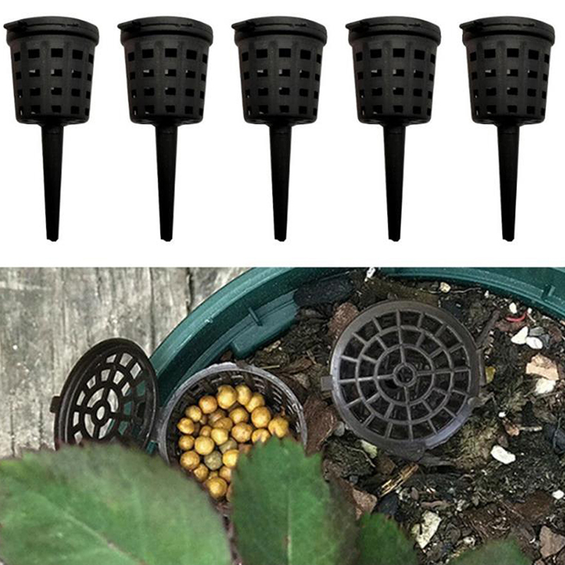 50 Pcs/pack Plants Fertilizer  – Food Storage Plants Bewertung und Preis