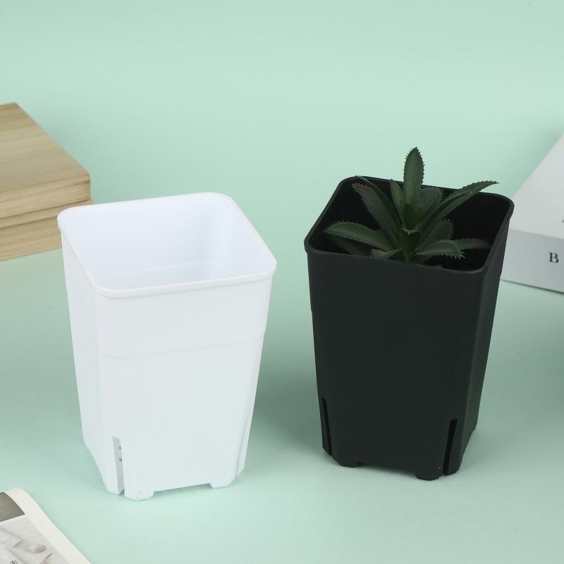 Seedling Pots Square Plastic P – Food Storage Plants Bewertung und Preis